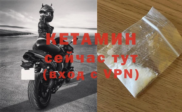 стафф Кодинск