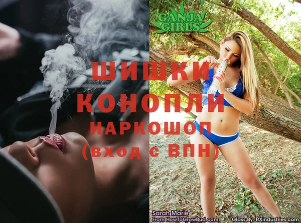 дмт Карпинск