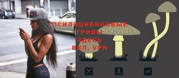 ешки Козельск