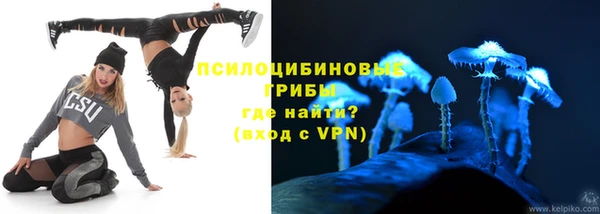 мяу мяу кристалл Корсаков