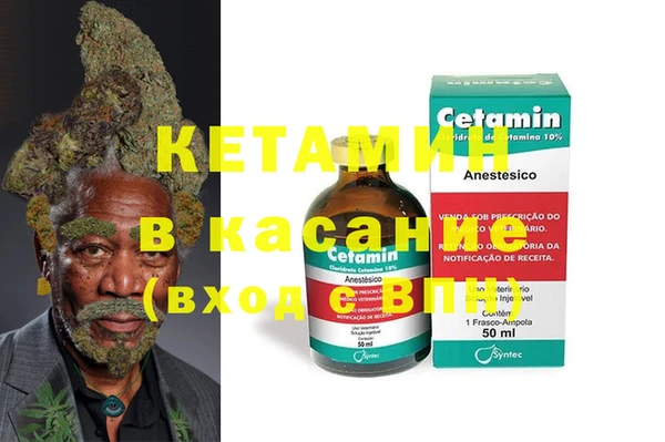стафф Кодинск