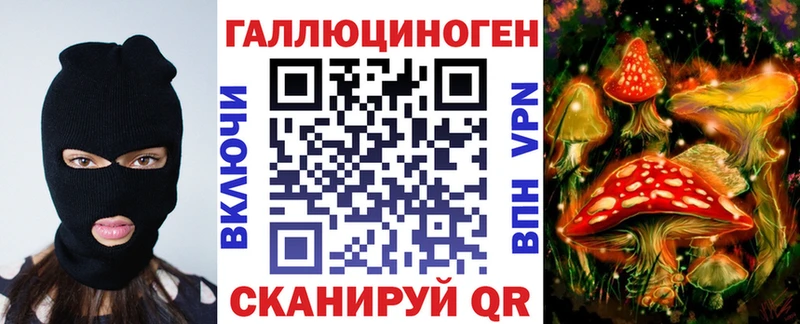 MEGA ссылка  darknet состав  Псилоцибиновые грибы GOLDEN TEACHER  сколько стоит  Михайловск 